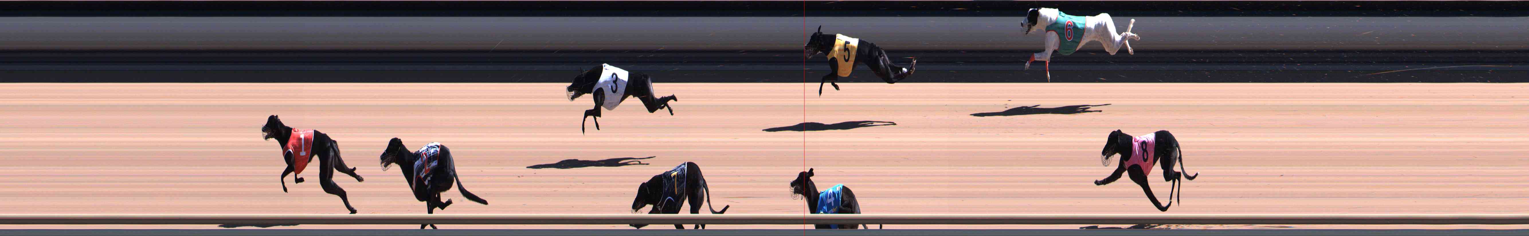 Photo finish for Healesville Race 6