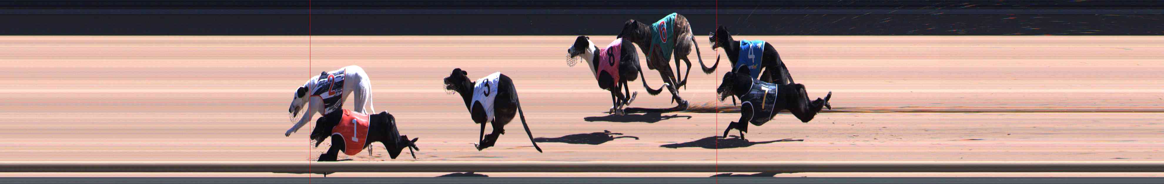 Photo finish for Healesville Race 7