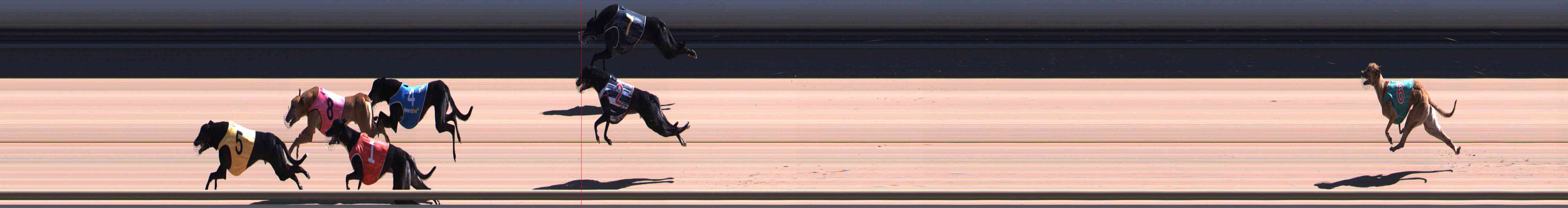 Photo finish for Healesville Race 8