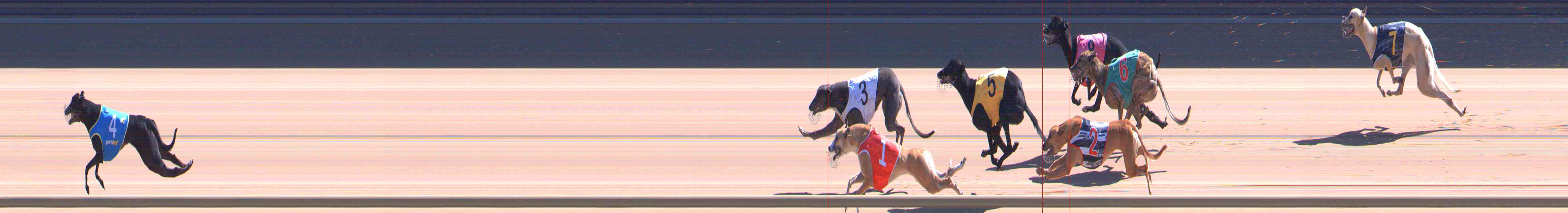 Photo finish for Healesville Race 9