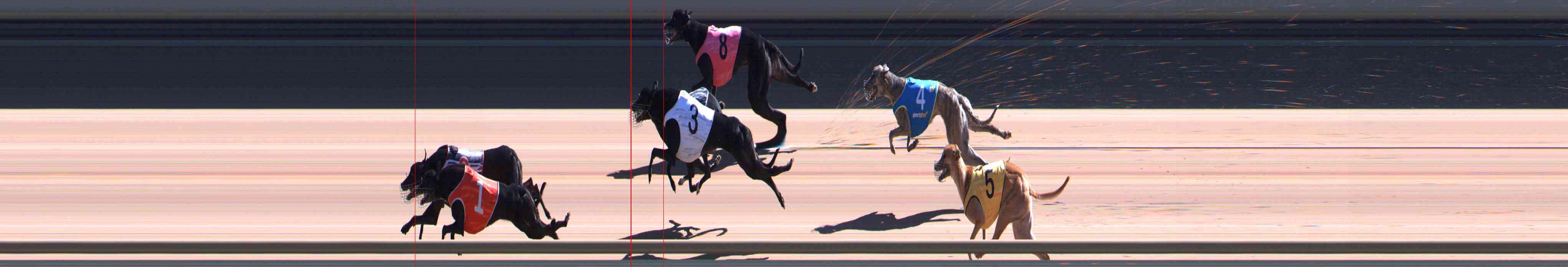 Photo finish for Healesville Race 10