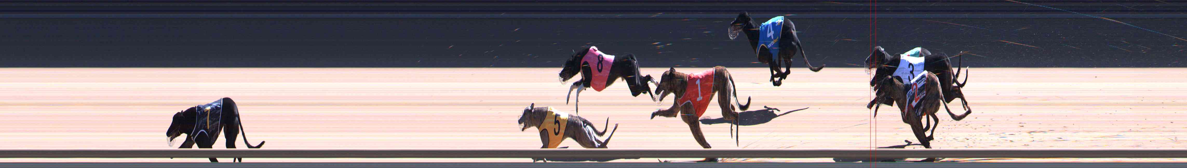 Photo finish for Healesville Race 11