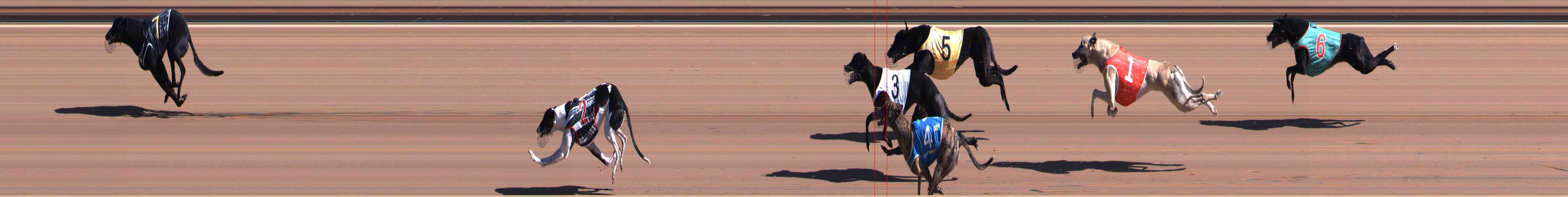 Photo finish for Healesville Race 1