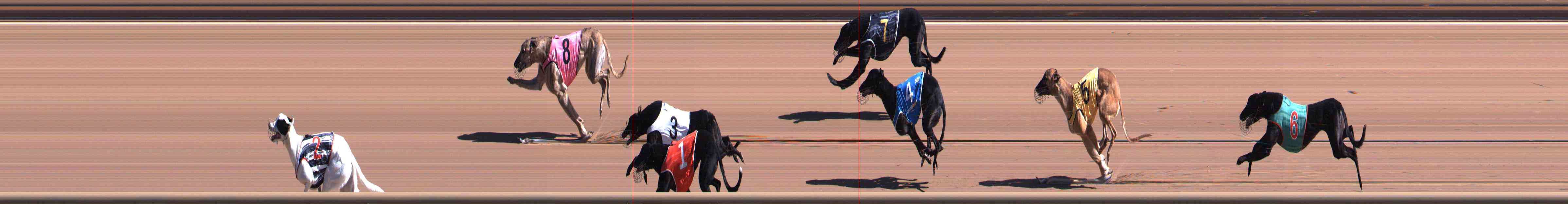 Photo finish for Healesville Race 2