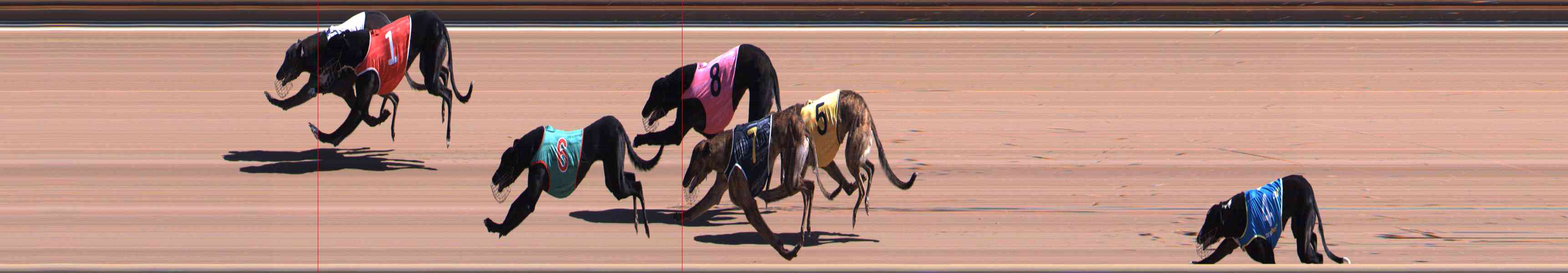 Photo finish for Healesville Race 3