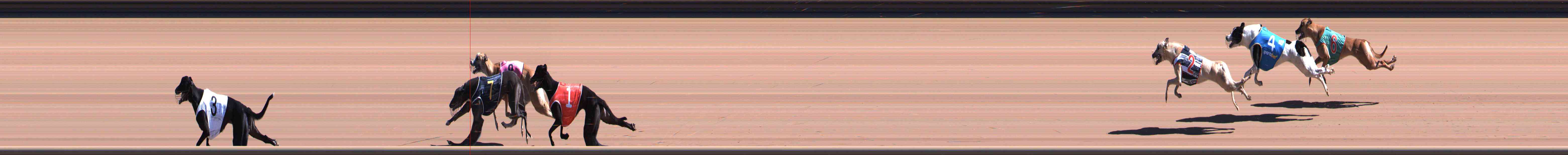 Photo finish for Healesville Race 4