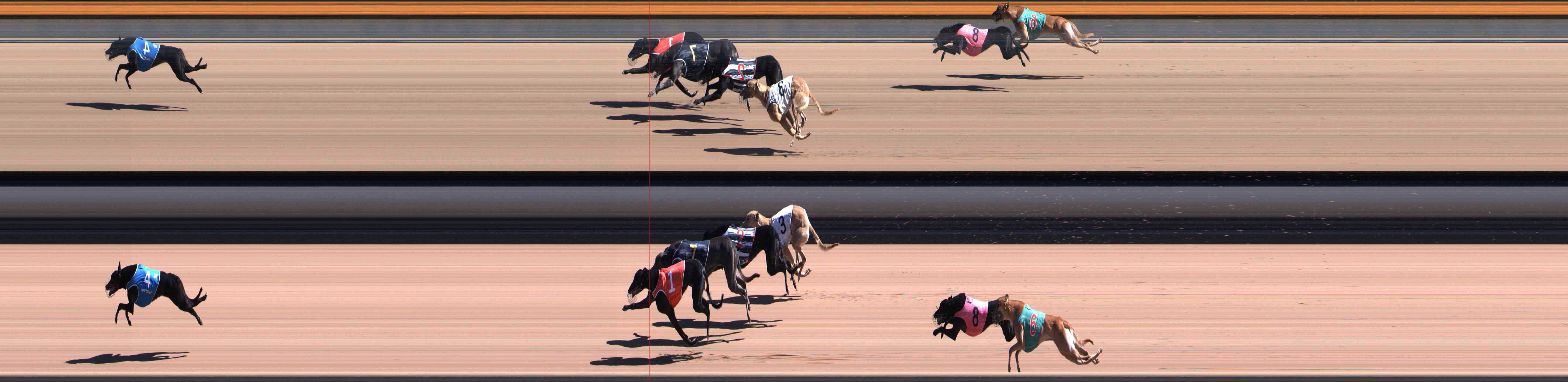 Photo finish for Healesville Race 5