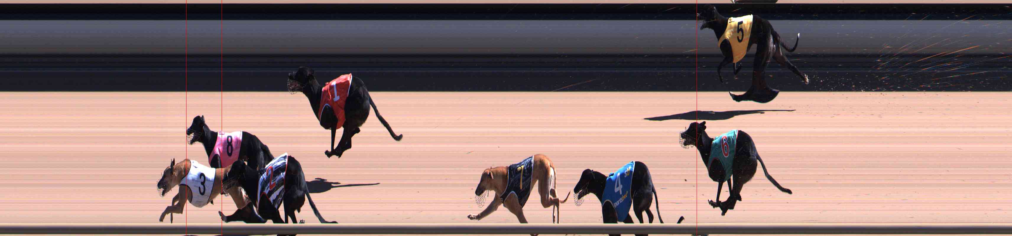 Photo finish for Healesville Race 6