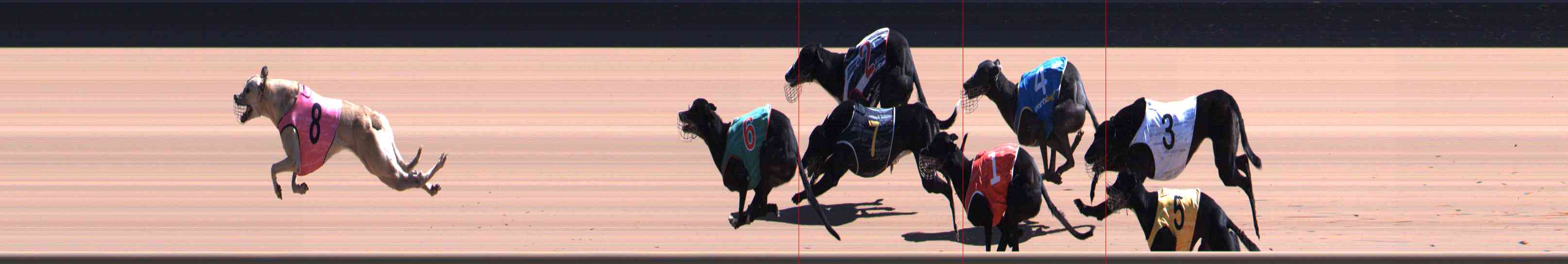 Photo finish for Healesville Race 7