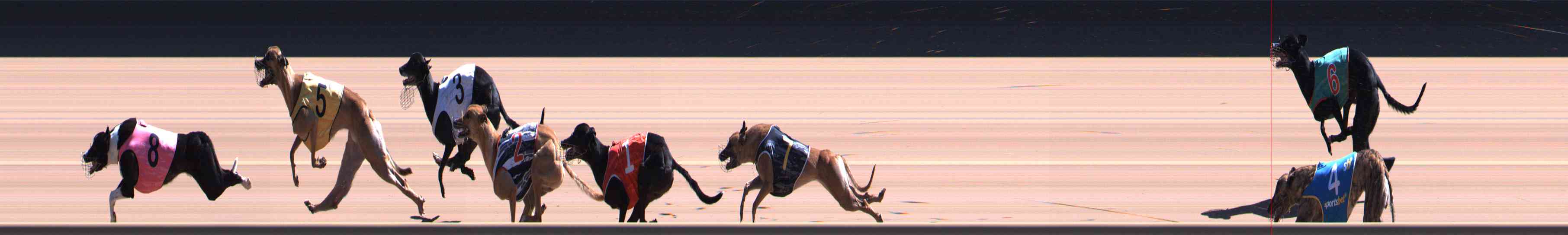 Photo finish for Healesville Race 8
