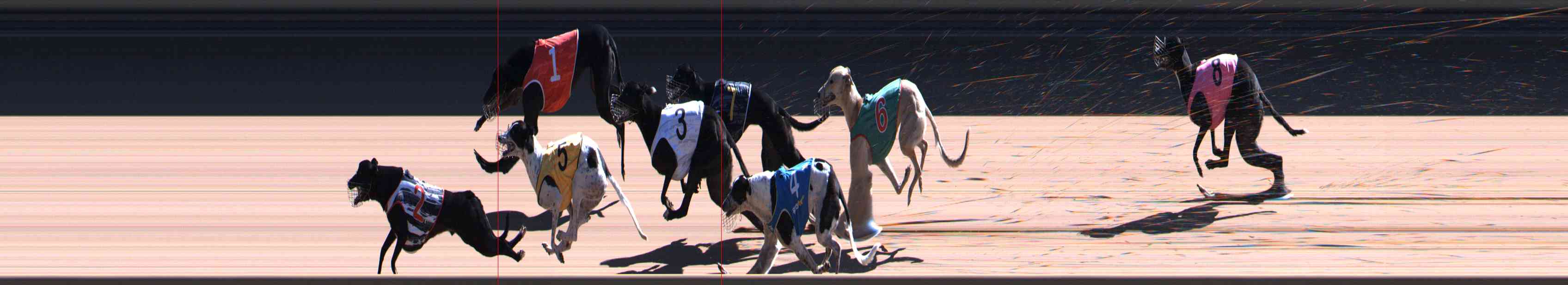 Photo finish for Healesville Race 9