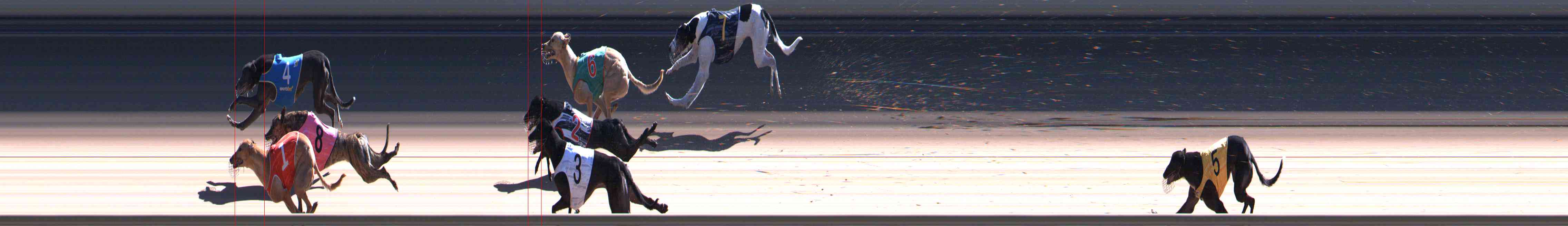 Photo finish for Healesville Race 10