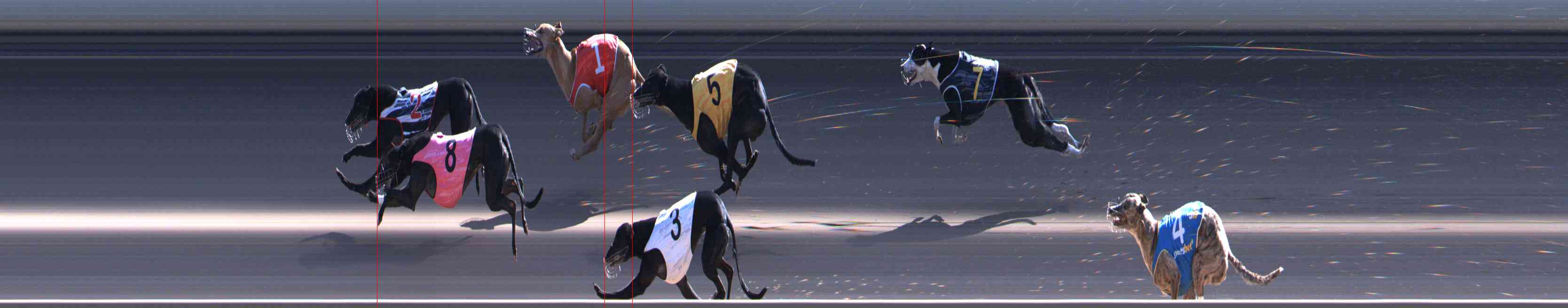 Photo finish for Healesville Race 11