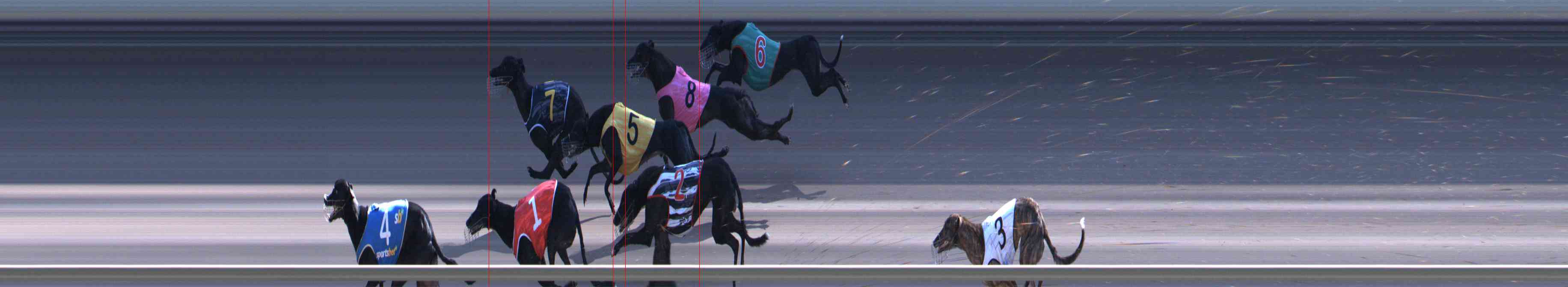 Photo finish for Healesville Race 12