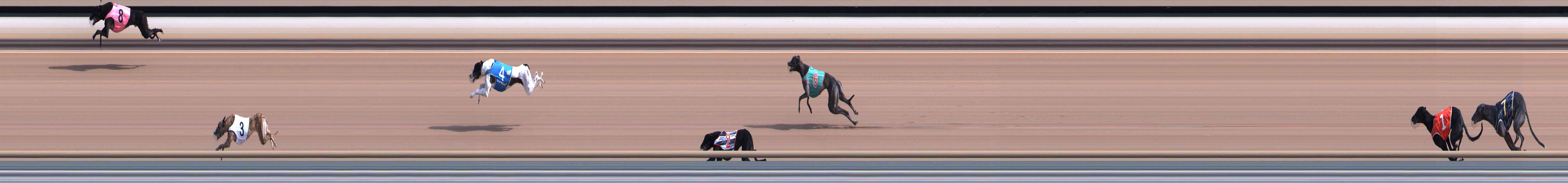 Photo finish for Healesville Race 1