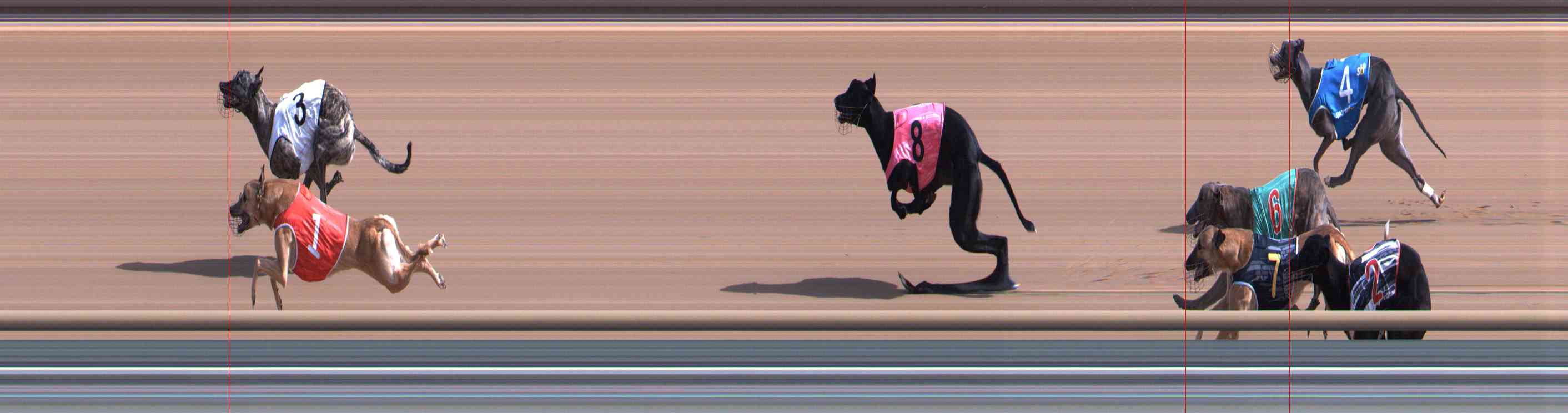 Photo finish for Healesville Race 2