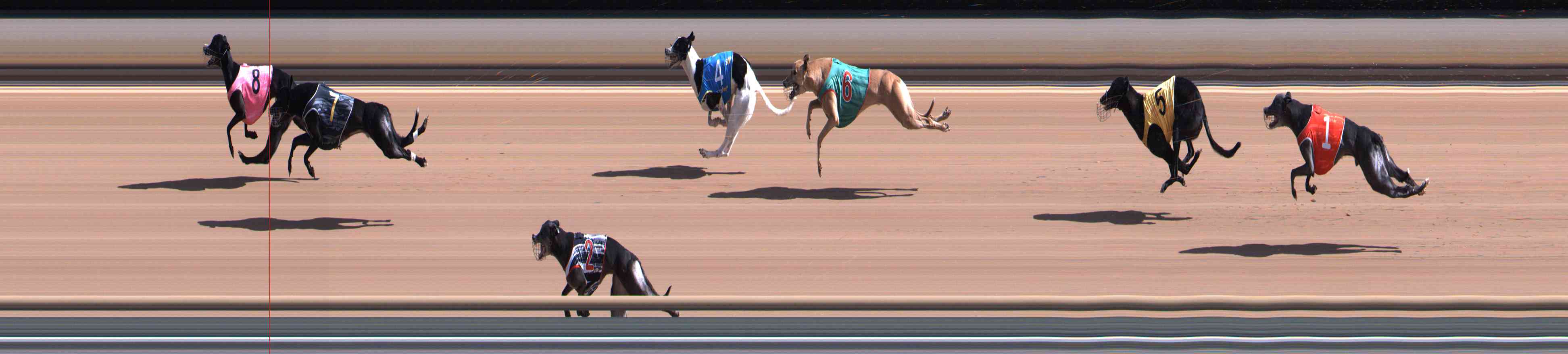 Photo finish for Healesville Race 3