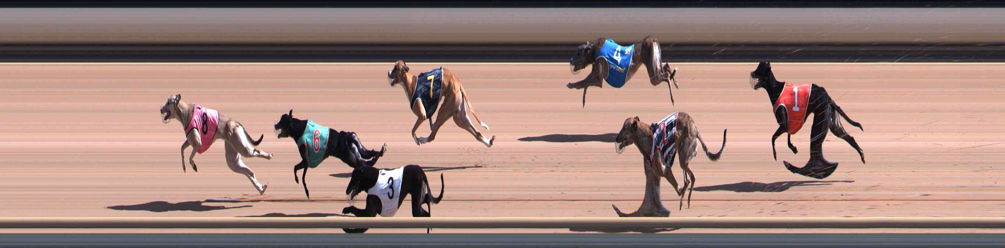 Photo finish for Healesville Race 4