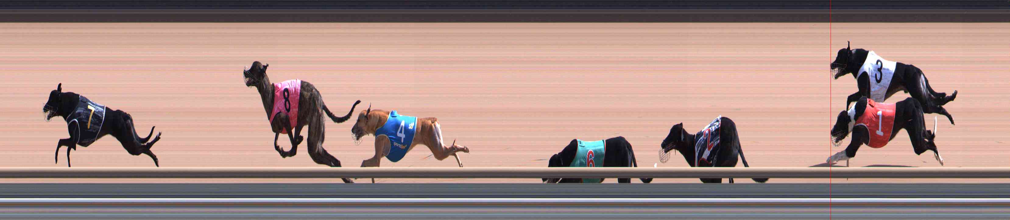 Photo finish for Healesville Race 5