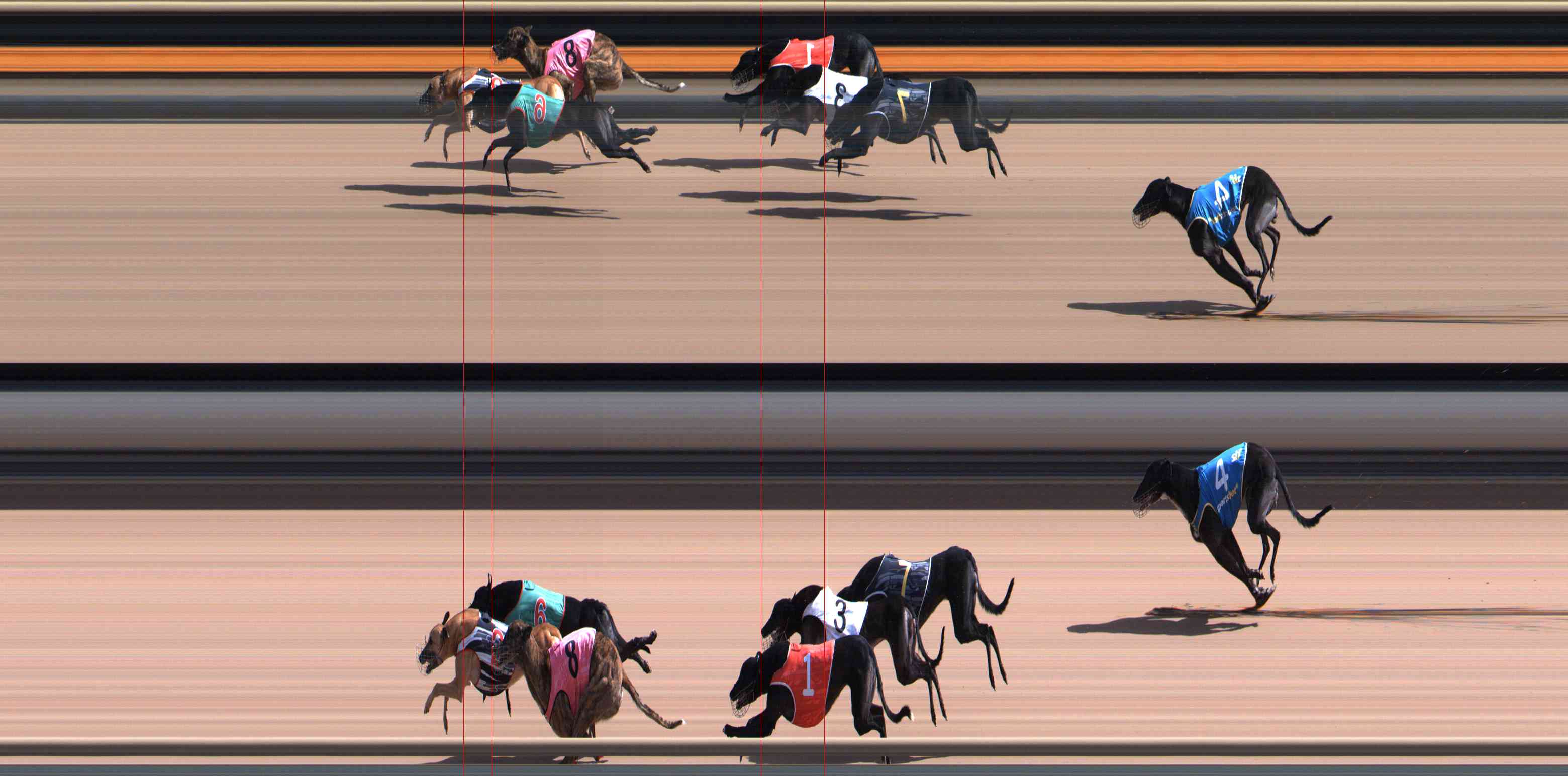 Photo finish for Healesville Race 6