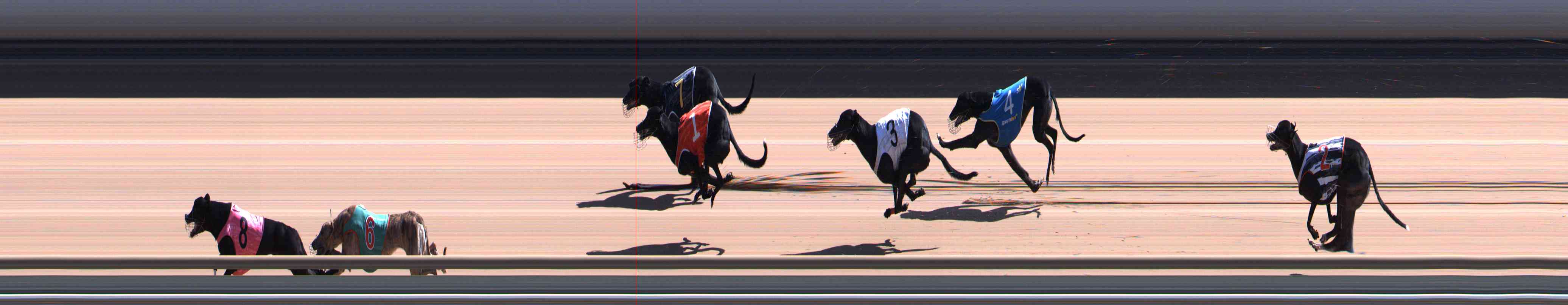 Photo finish for Healesville Race 7