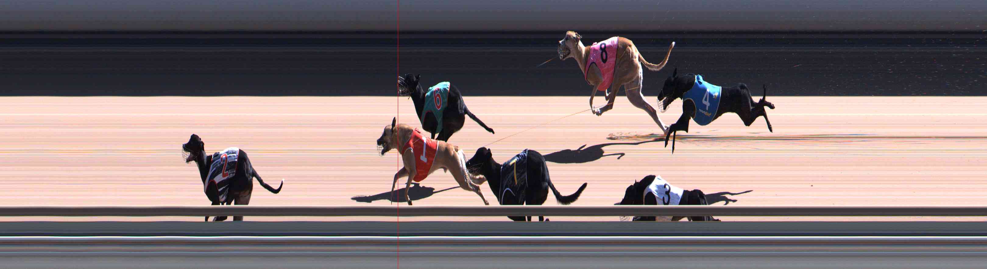 Photo finish for Healesville Race 9