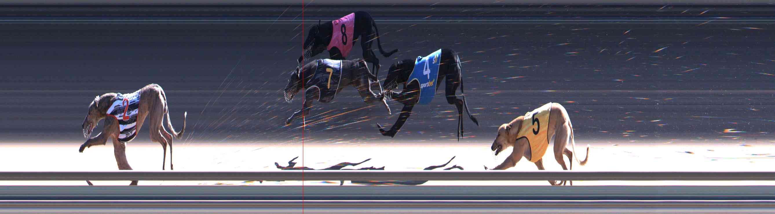 Photo finish for Healesville Race 11
