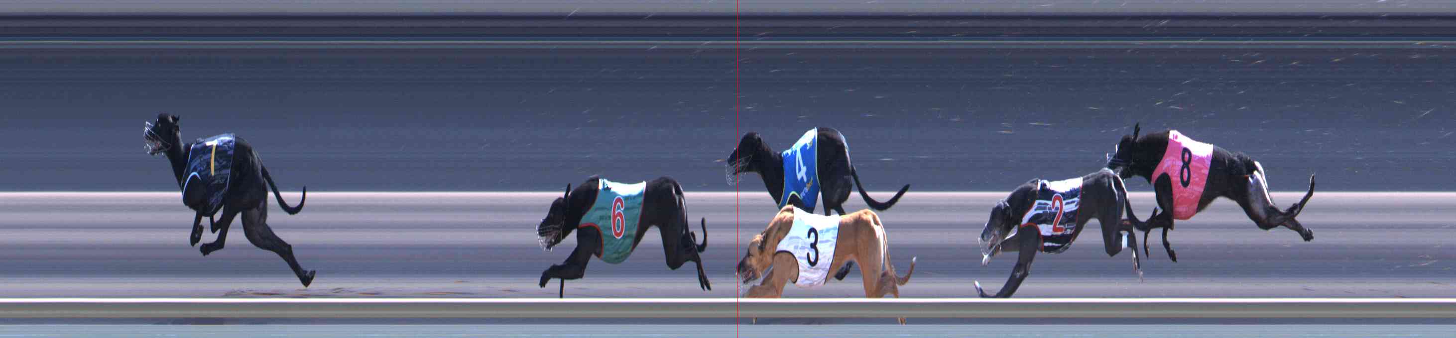 Photo finish for Healesville Race 12