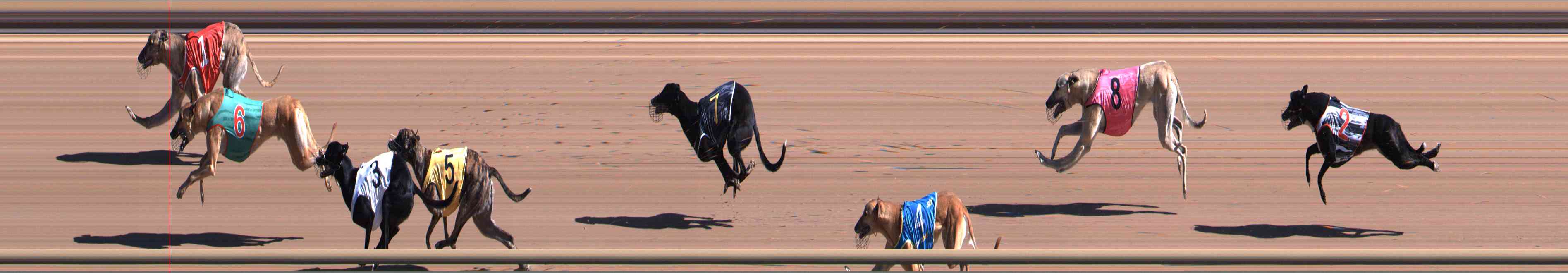 Photo finish for Healesville Race 1