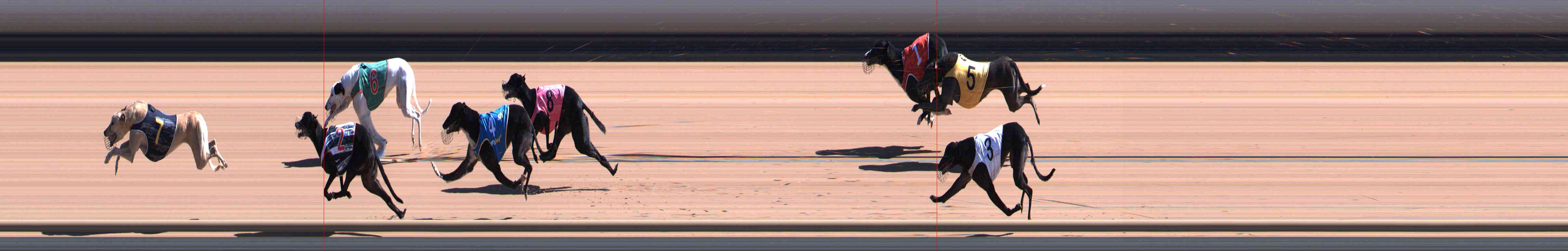 Photo finish for Healesville Race 5