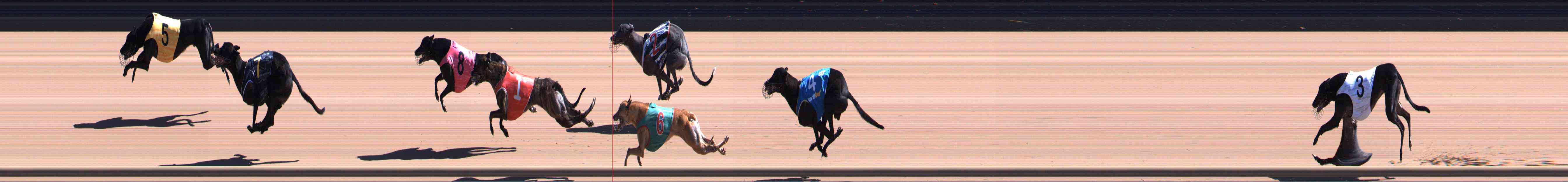 Photo finish for Healesville Race 6