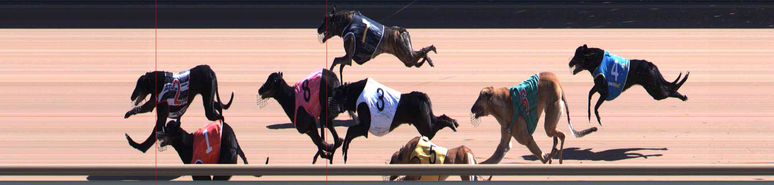 Photo finish for Healesville Race 7