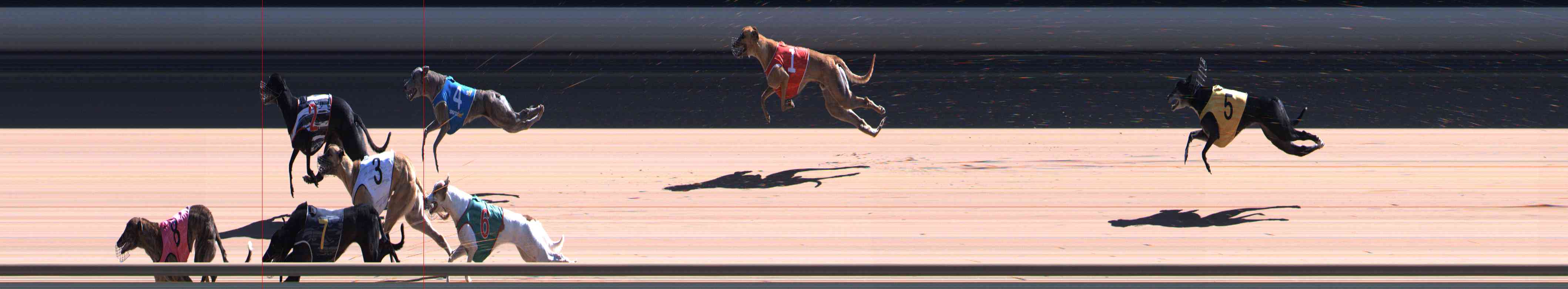 Photo finish for Healesville Race 9