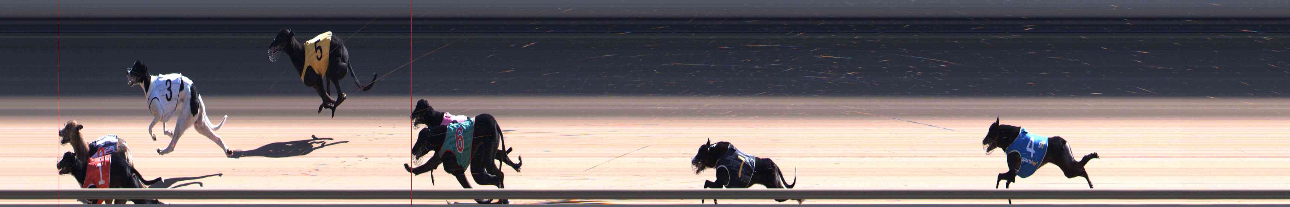 Photo finish for Healesville Race 10