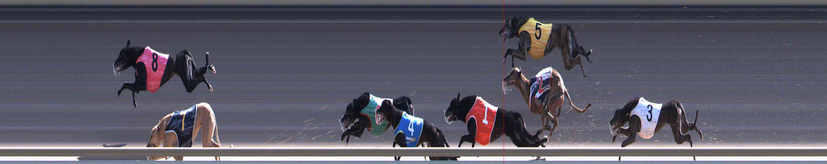 Photo finish for Healesville Race 11