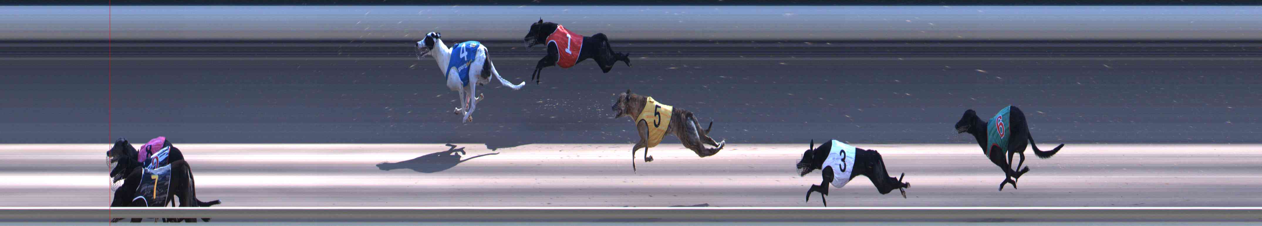 Photo finish for Healesville Race 12