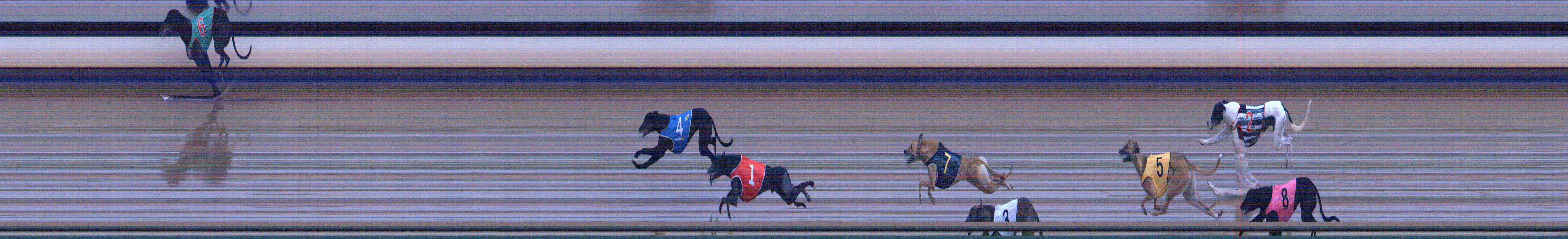 Photo finish for Healesville Race 1