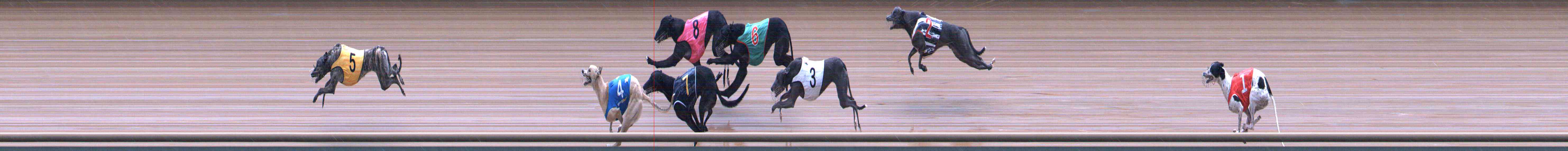 Photo finish for Healesville Race 2