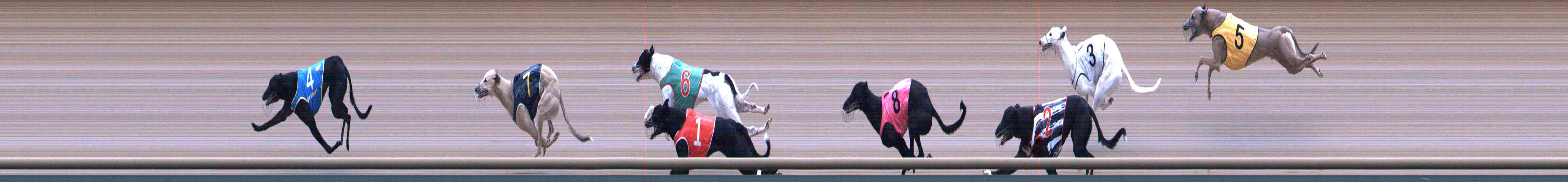 Photo finish for Healesville Race 3