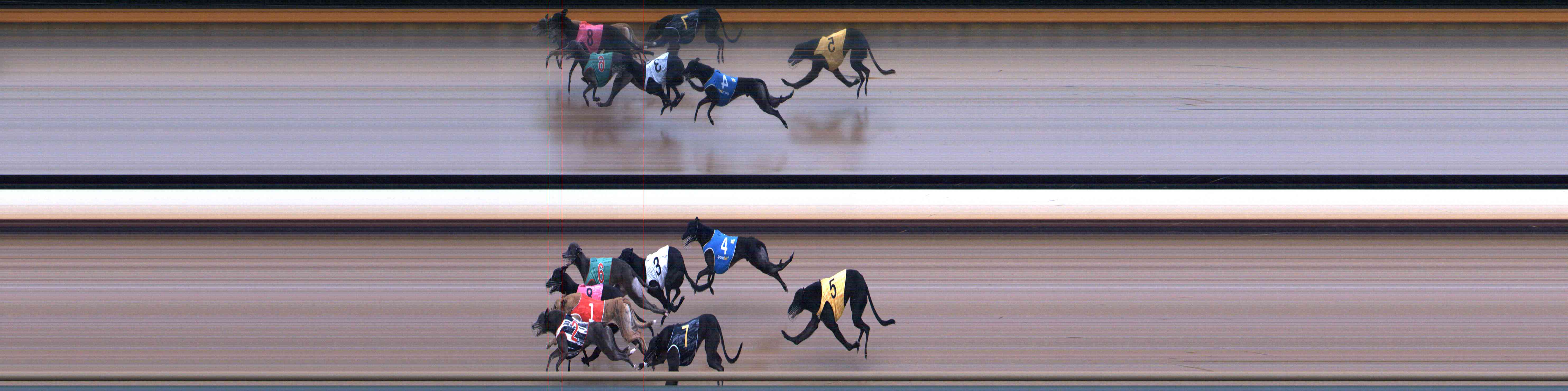 Photo finish for Healesville Race 4