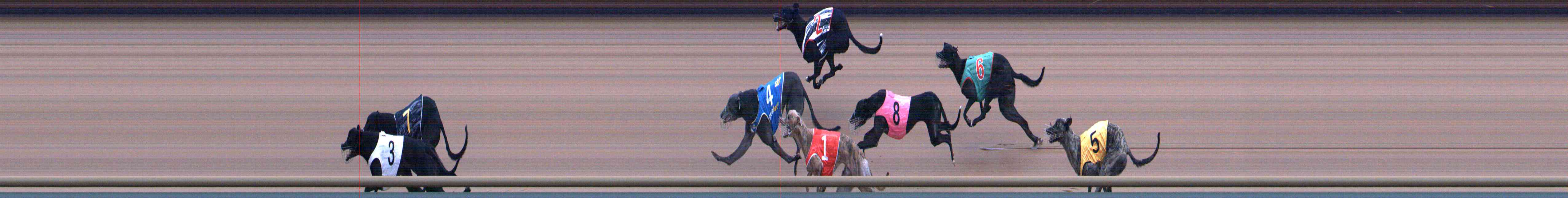 Photo finish for Healesville Race 5