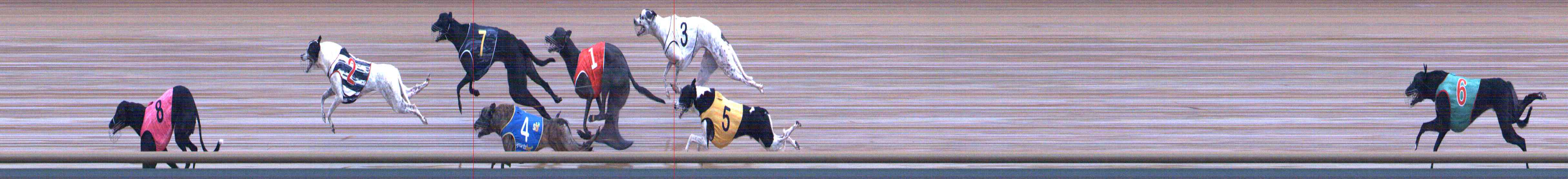 Photo finish for Healesville Race 6