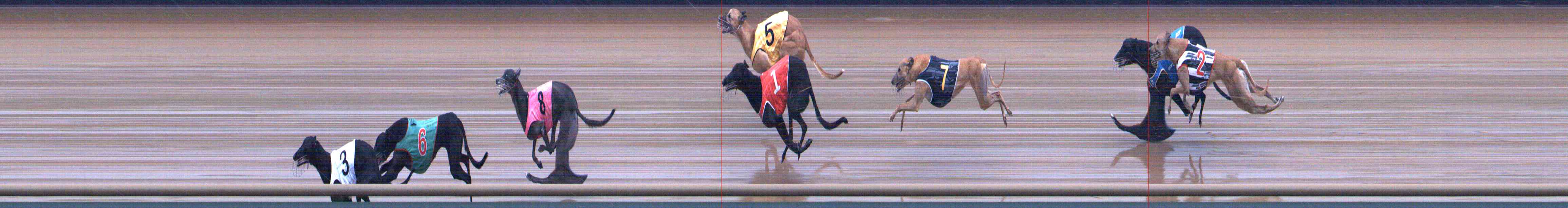 Photo finish for Healesville Race 7