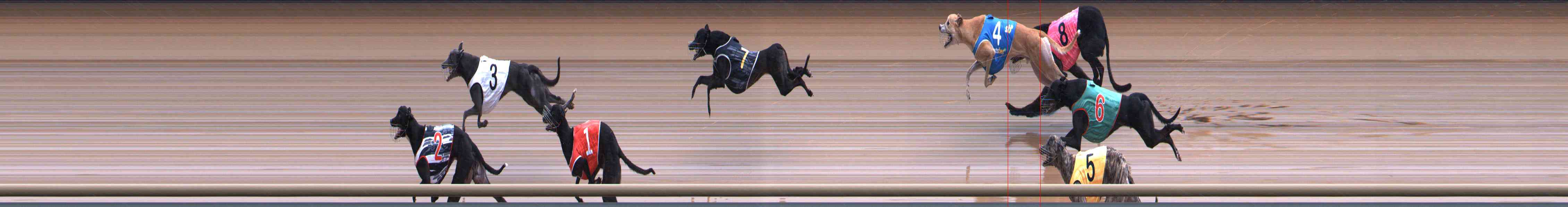 Photo finish for Healesville Race 9