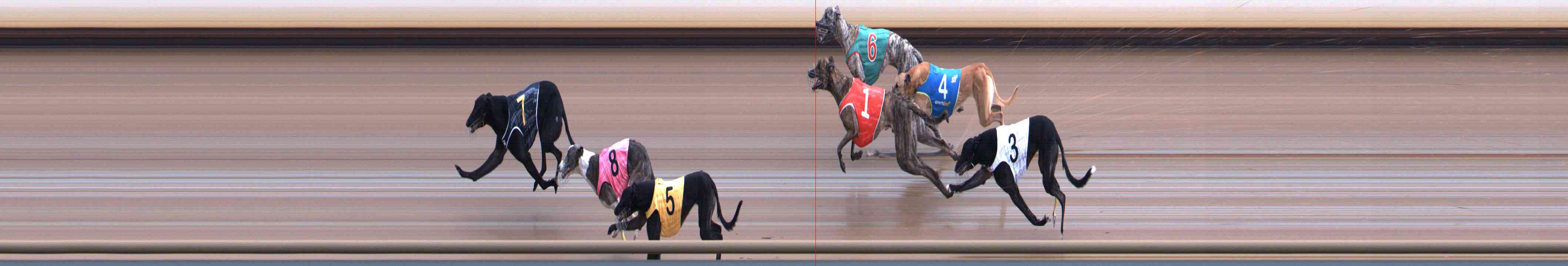 Photo finish for Healesville Race 10