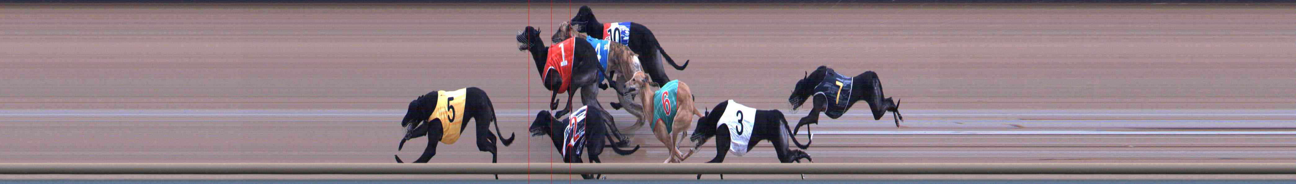 Photo finish for Healesville Race 11
