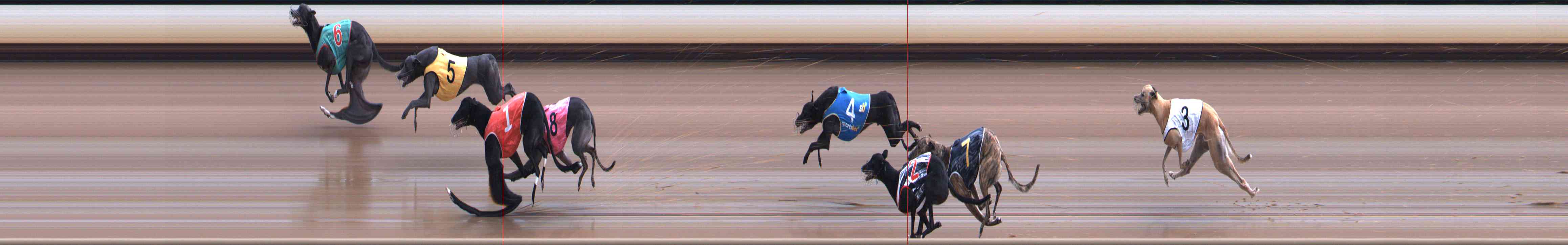 Photo finish for Healesville Race 12