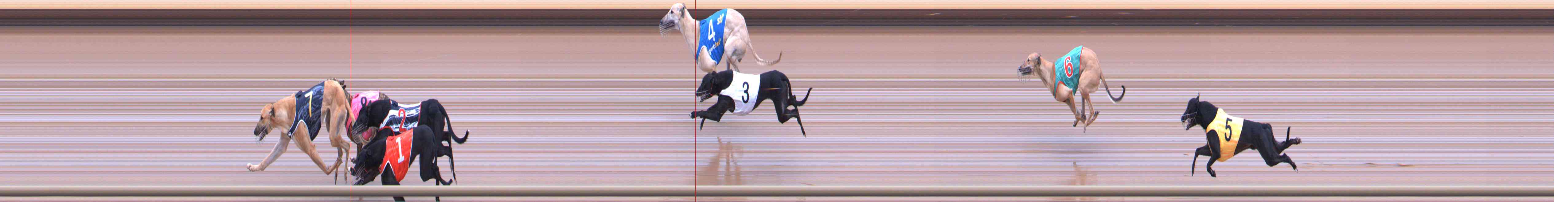 Photo finish for Healesville Race 1