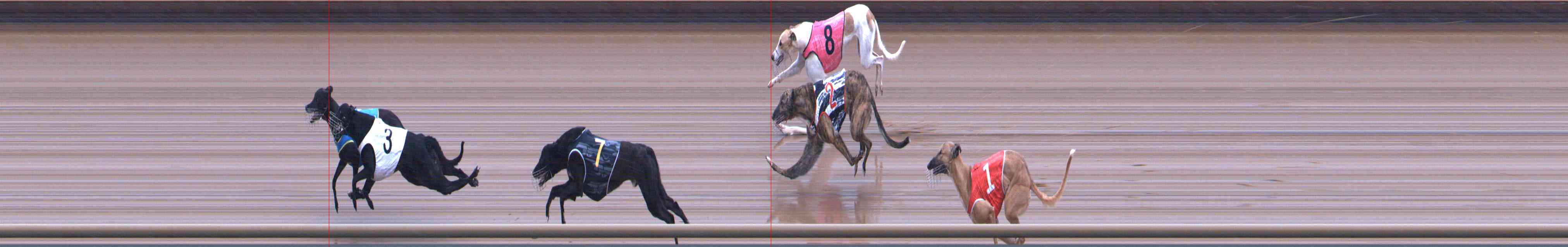 Photo finish for Healesville Race 2