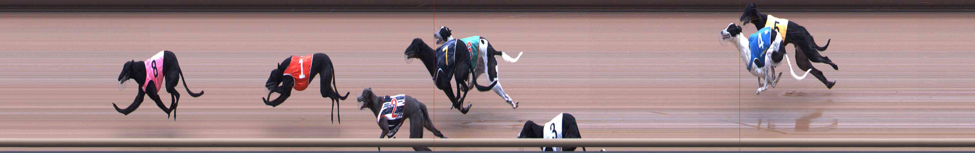 Photo finish for Healesville Race 3